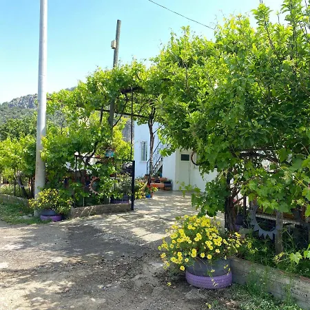 Kapukargin * Dalaman